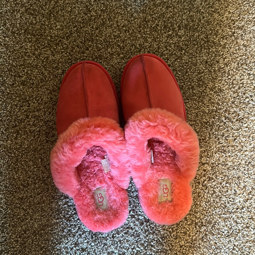pink uggs